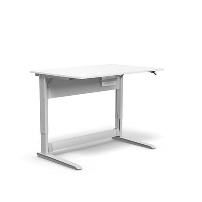 moll Express Desk 120 Medium Angled